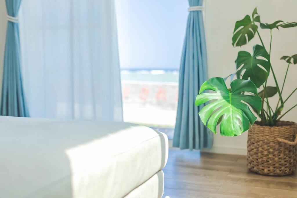 Villa 石垣島一棟貸し 潮 Ishigaki  Esterno foto